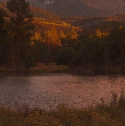 [♡ 𐐪𐑂 °](#socials)